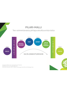 Pilari-lunttilappu©