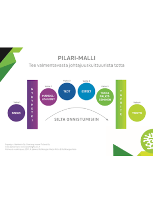 Pilari-lunttilappu©